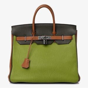 limited edit H Fjord Togo Birkin 25CM bag Vert Anis Gold Vert Olive GHW PREORDER